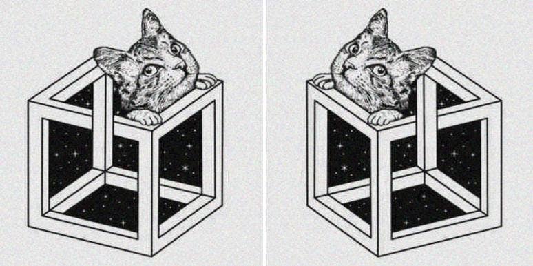 cat horoscope personality test